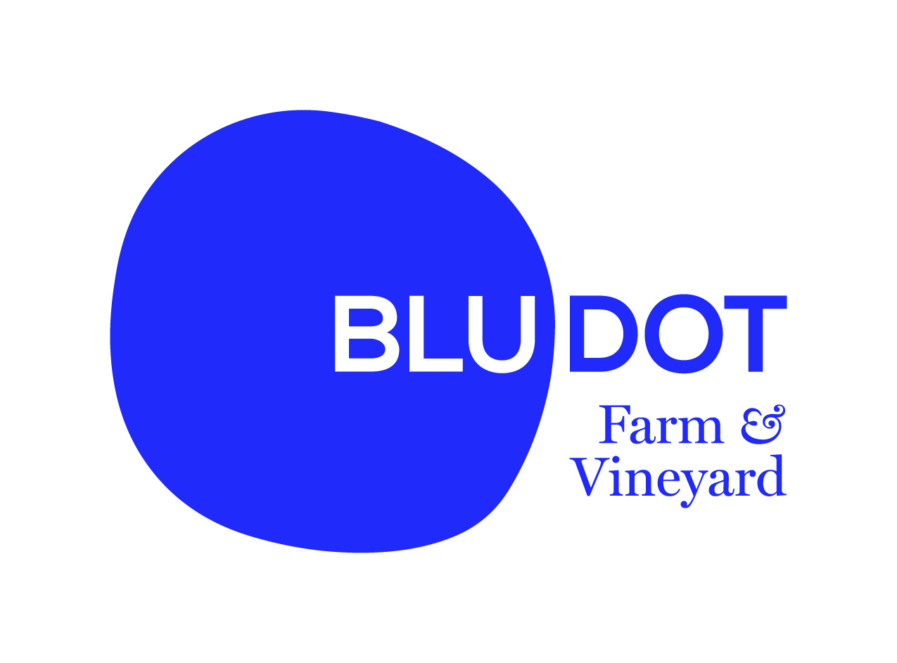 BLU DOT_LOGO_2117.jpg