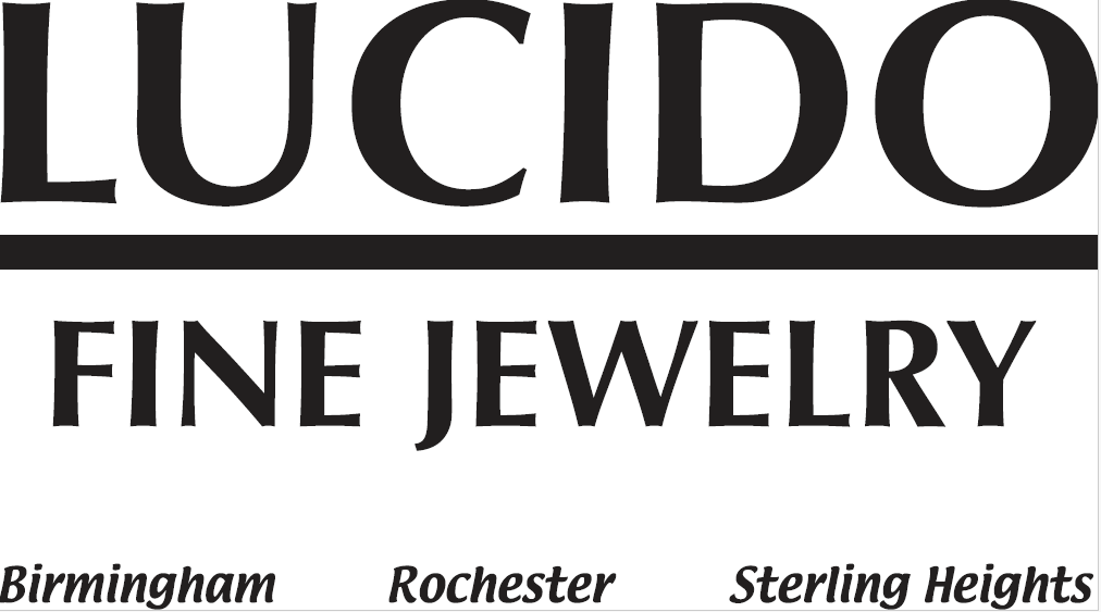 Lucido logo image.png